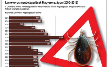 Hamarosan kezdődik a kullancsszezon