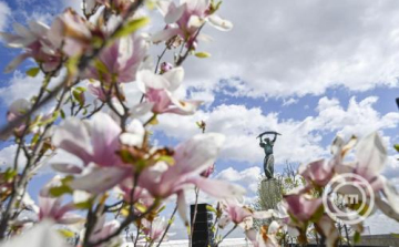 Megnyílt a megújult Citadella - ingyenes programokkal várják az érdeklődőket